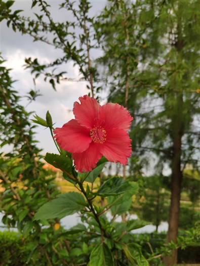 2018最強安卓旗艦!小米8詳細評測