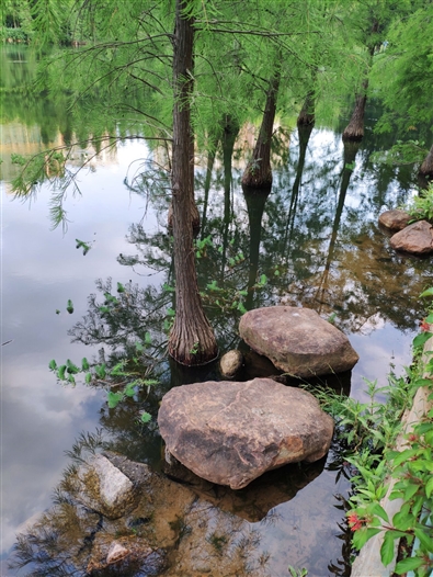2018最強安卓旗艦!小米8詳細評測