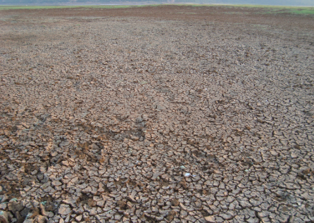 全球變暖可能導致土壤加速向大氣釋放二氧化碳