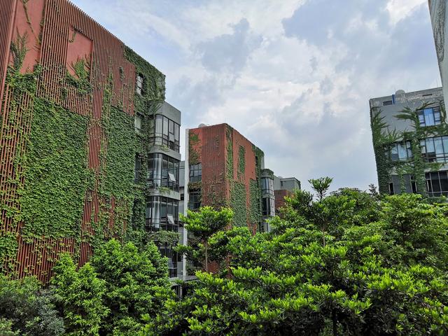 榮耀Note10和小米Max3對比評測 巨屏手機選哪款好?