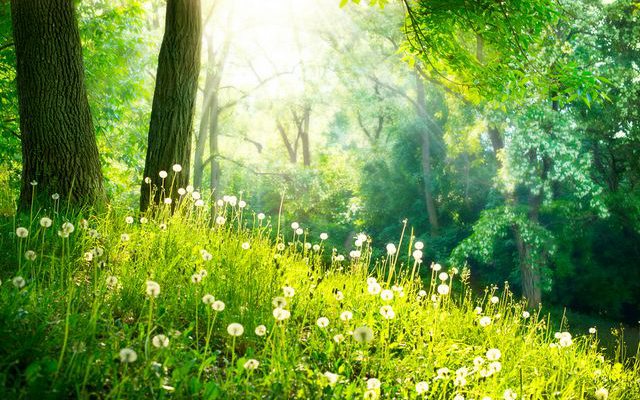 微信簽名一句話內(nèi)涵 68句唯美簡短有內(nèi)涵個性簽名大全