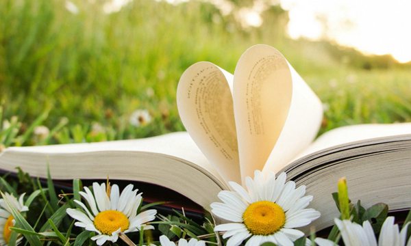 學會及時調整自己的心態:我們能改變的只有自己