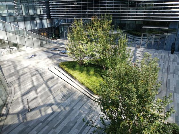 小米8青春版和華為暢享9Plus區別對比 華為暢享9Plus和小米8青春版哪個好?