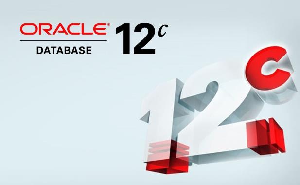 Oracle數(shù)據(jù)庫(kù)多條sql執(zhí)行語(yǔ)句出現(xiàn)錯(cuò)誤時(shí)的控制方式