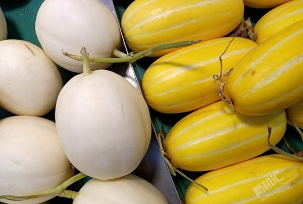 OPPO A9拍照效果怎么樣 OPPO A9拍照樣張實(shí)測(cè)體驗(yàn)