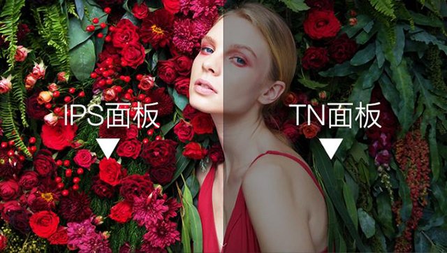 筆記本電腦如何選購呢?筆記本電腦知識(shí)、選購技巧全攻略指南