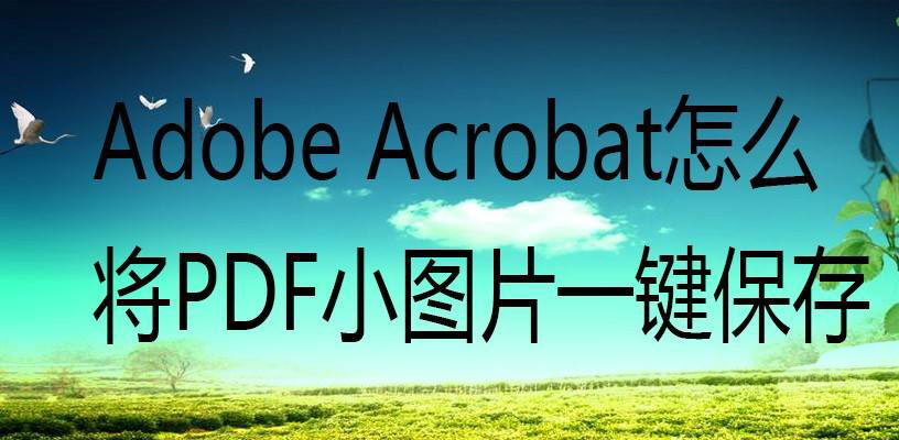 Acrobat怎么批量保存PDF小圖片?adobe Acrobat一鍵保存pdf小圖片的技巧